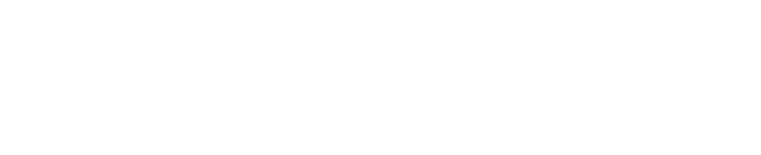 Skilz Matrix